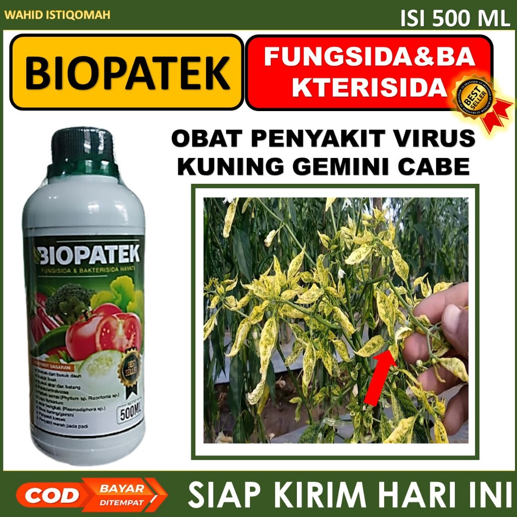 BIOPATEK - Obat Cabe Daun Kuning Keriting dan Rontok Terbaik 500 ML - Pupuk Kalsium Cabe Atasi Cabe 
