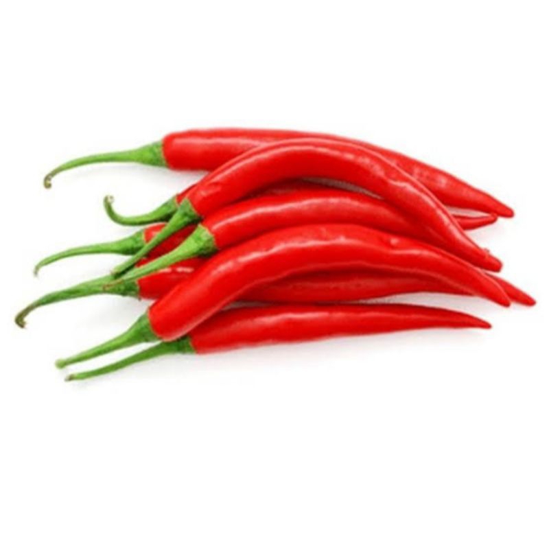 

CABE MERAH BESAR Rp 15.000 - 60.000