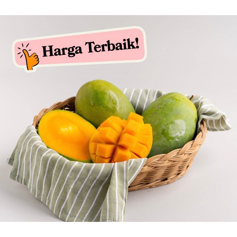 

MANGGA GADUNG TUA DIPOHON
