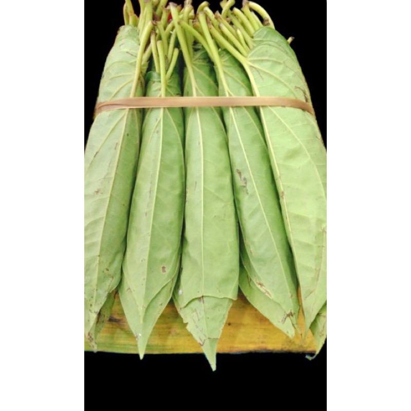 

Belo butar