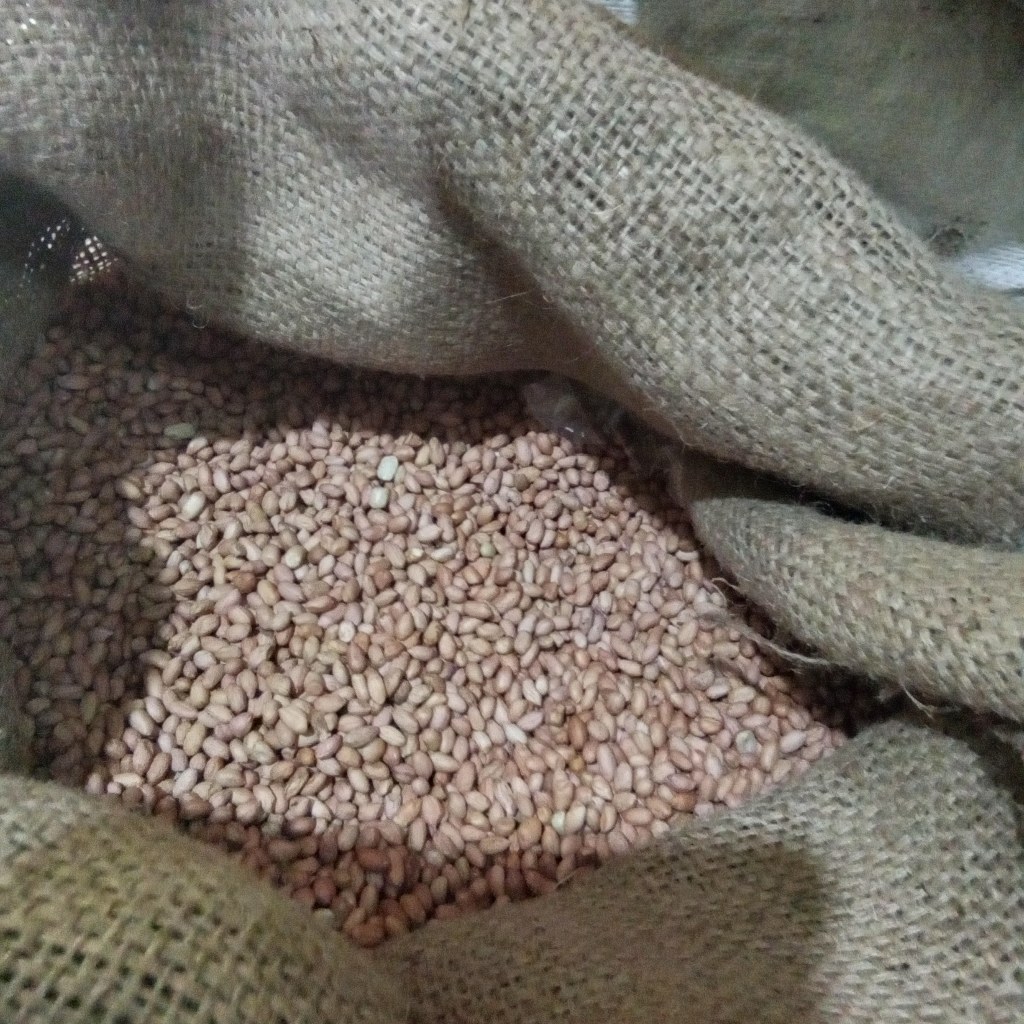 

Suuk OB 1 Kg