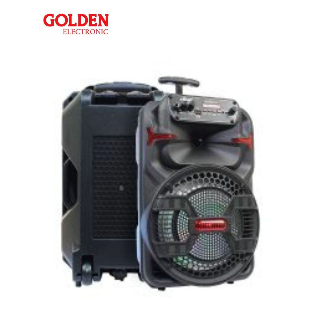 Speaker Portable 8 inch DAT DT 809 Free 2 Mic Wireless