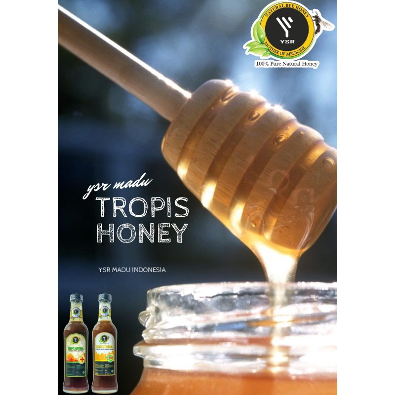 

madu murni trigona