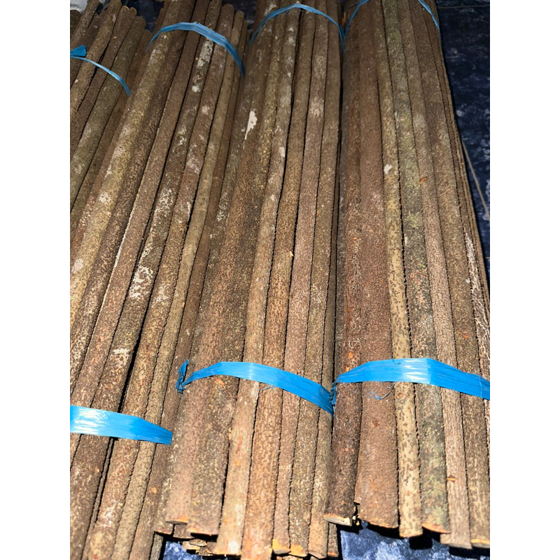 TANGKRINGAN ASEM BALI SERAT PASIR KUALITAS GRADE A SUPER