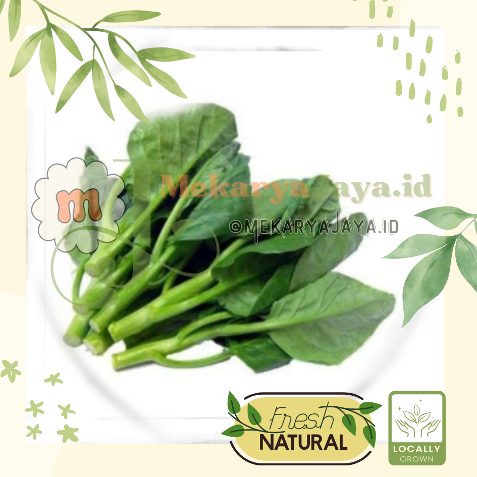 

[MJ-Fresh]- Sayur Baby Kailan