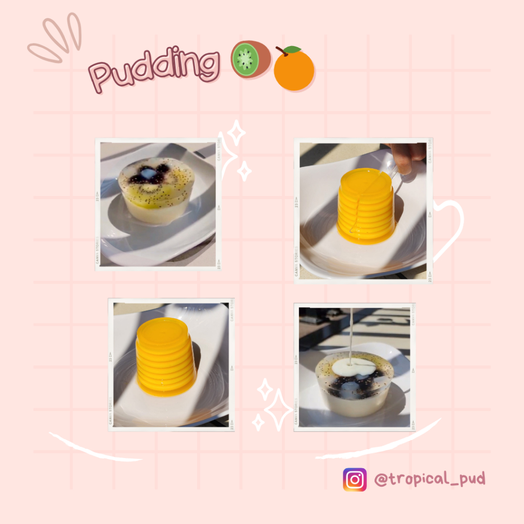 

Tropical Pud