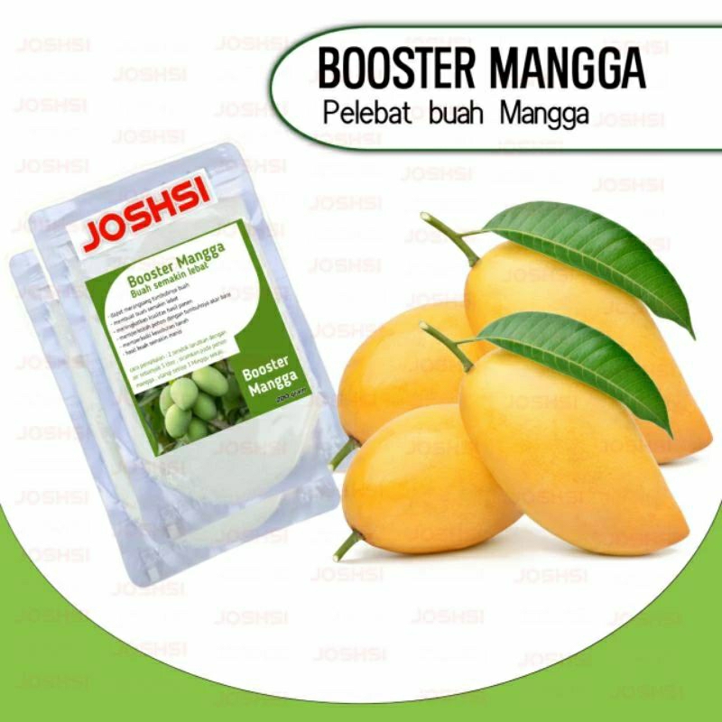 booster mangga perangsang buah mangga pelebat buah pupuk buah