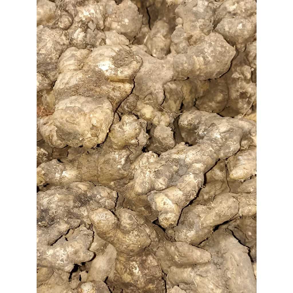 

RB Jahe Emprit Jawa Pilihan 1Kg