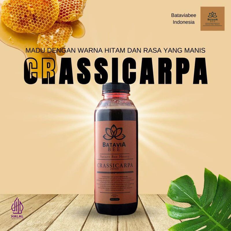 

Madu Murni Crassicarpa by Batavia Bee solusi mengatasi insomnia 350gr