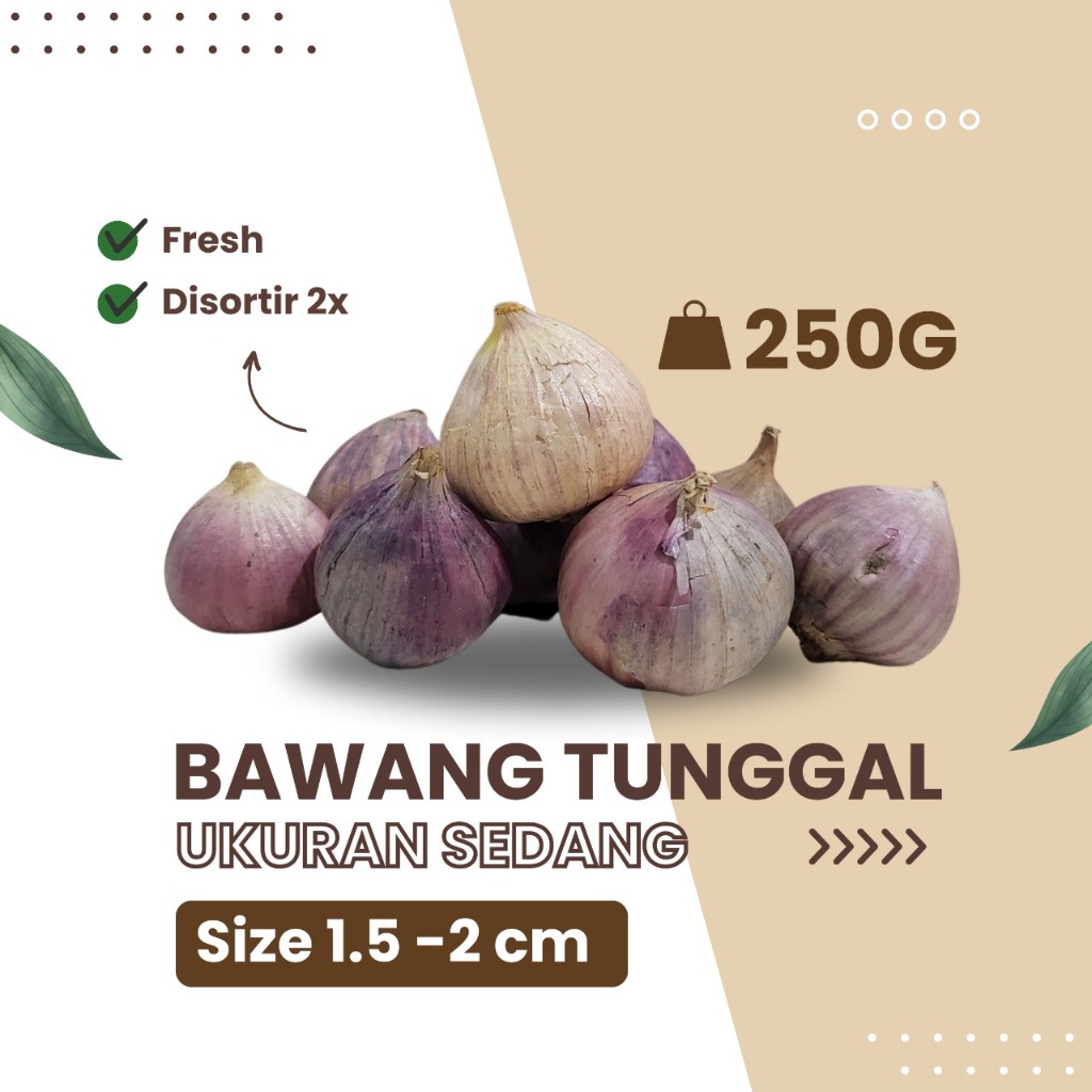 

Bawang Putih Tunggal Lanang SEDANG 1.5-2 CM 250 Gram
