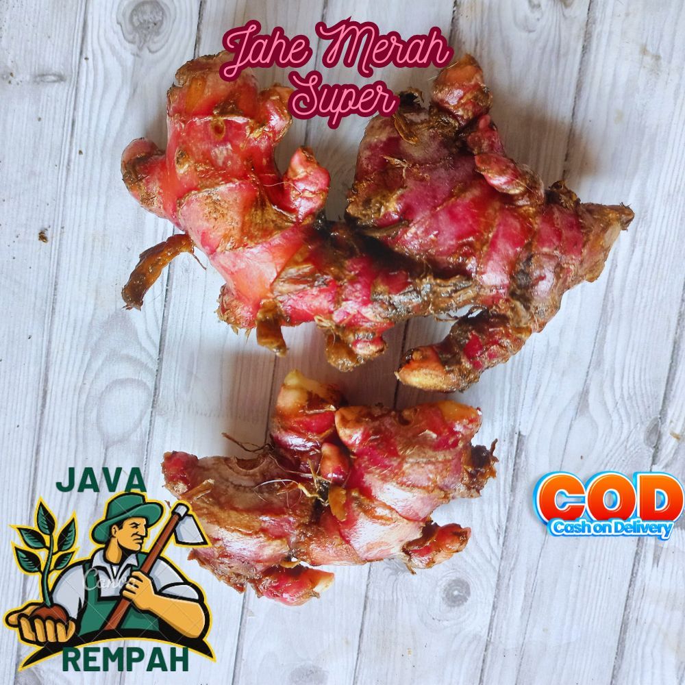 

Jahe merah 1/2kg 500gr sudah di cuci