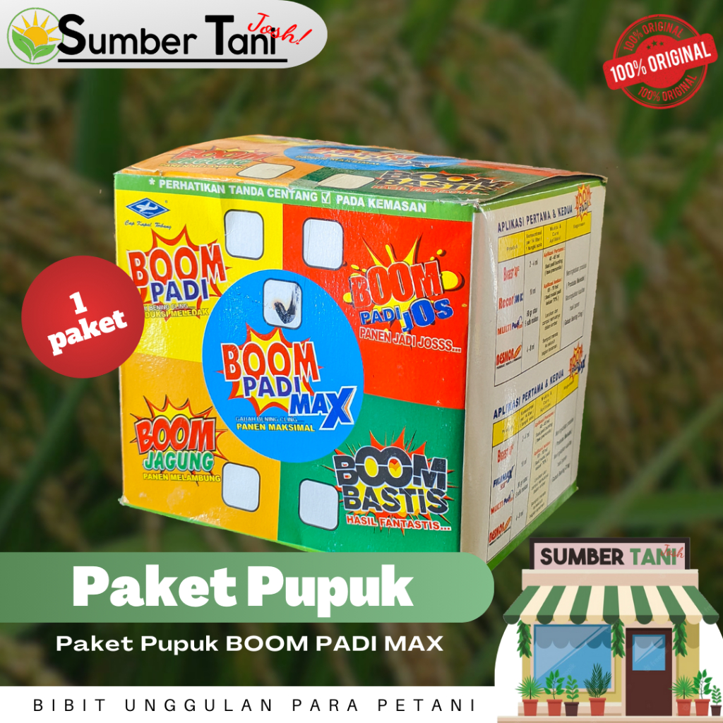 Paket Boom Padi Max Cap Kapal Terbang