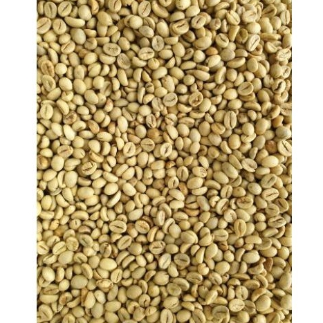 

Biji Kopi Robusta Poles/Selep WBS (Grade 1 Biji Sedang)