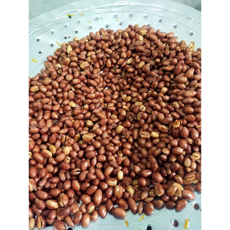 

1KG KACANG TANAH GORENG ASIN GURIH TERMURAH PADANG
