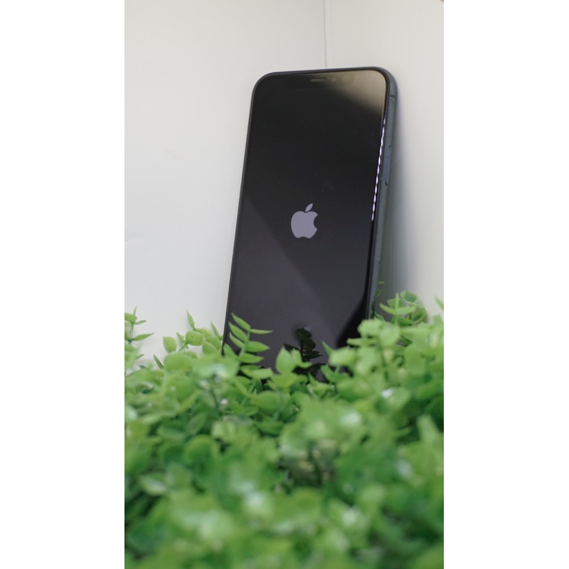 Iphone 11 Pro (64gb)
