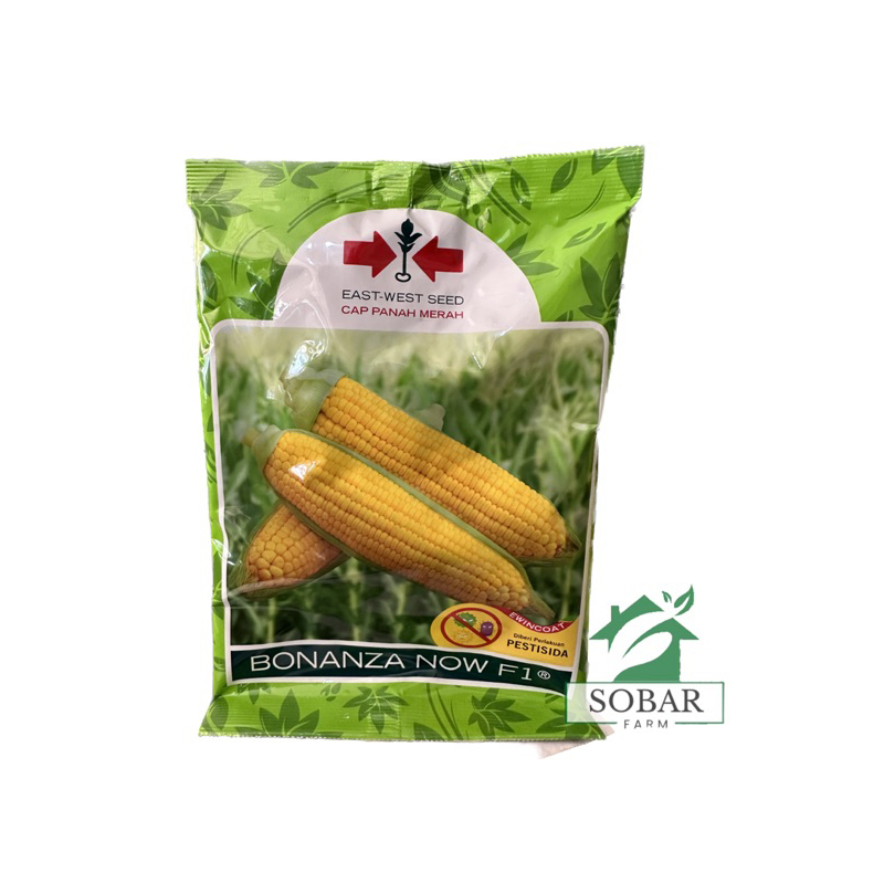 Bibit jagung manis Bonanza NOW F1- cap panah merah