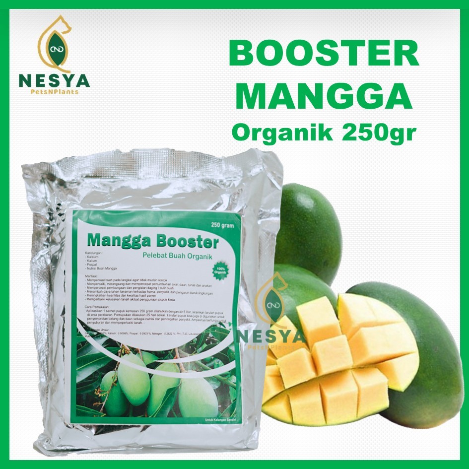 Pupuk Ampuh Booster Mangga Perangsang Buah Mangga Anti Rontok - Pupuk Buah