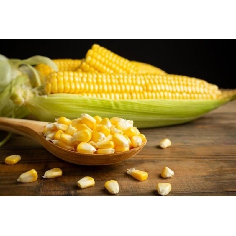 

Jagung Pipil 250gr Segar