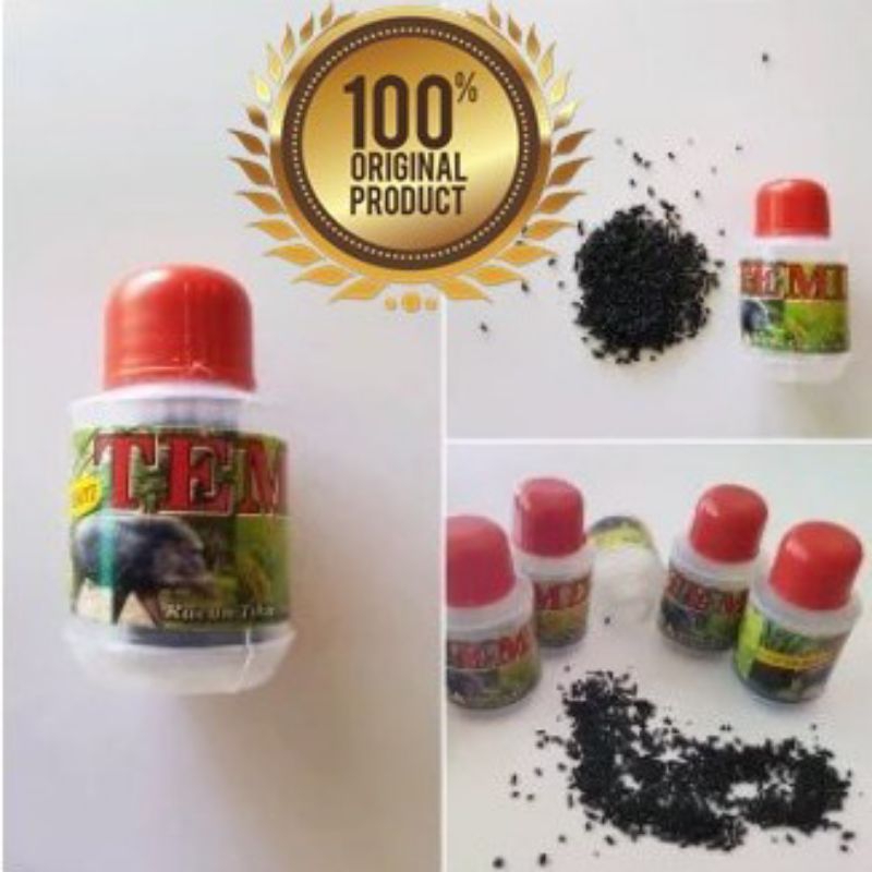 TEMIX RACUN TIKUS DAN BABI HUTAN