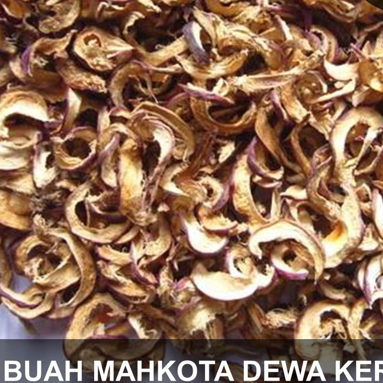 

MAHKOTA DEWA KERING / CROWN OF GOD JAMU MURAH 100 GRAM