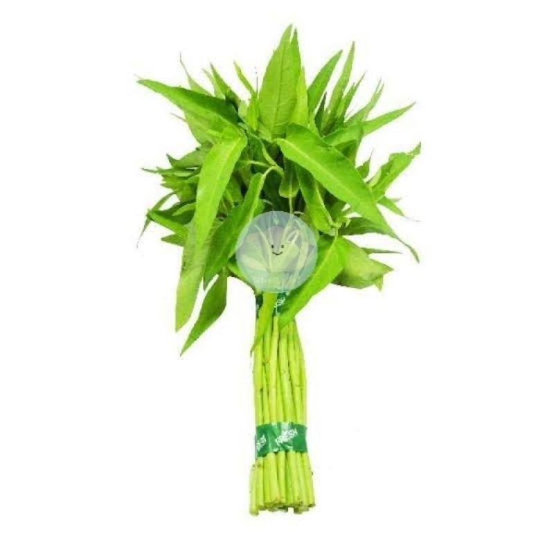 

KANGKUNG PER IKAT