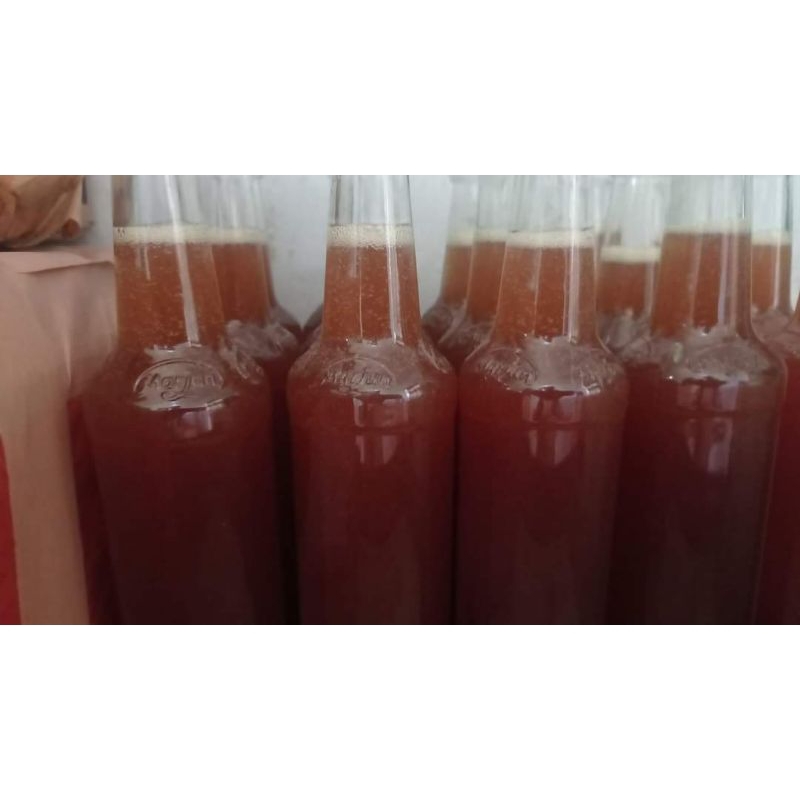 

madu asli murni hutan liar