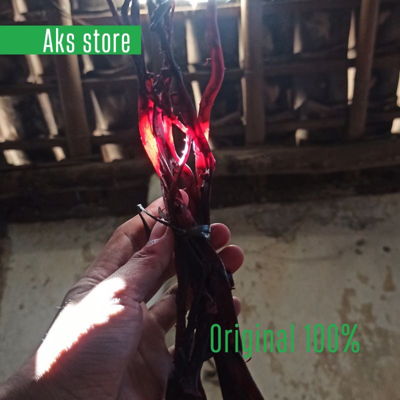 bahan akar bahar merah kristal batangan