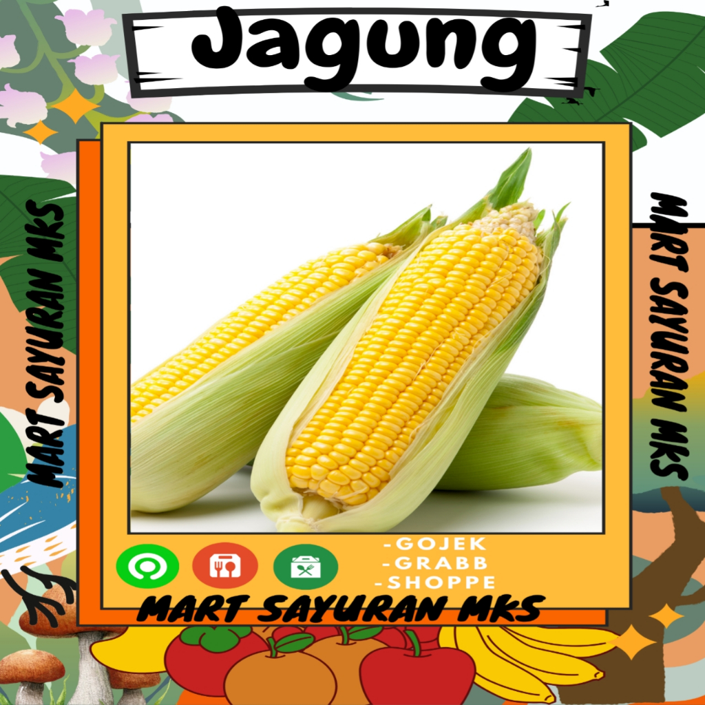 

Jagung kuning/perbiji
