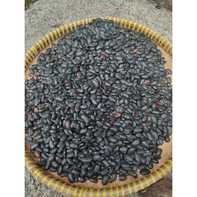 

Koro Ireng (koro hitam lokal)