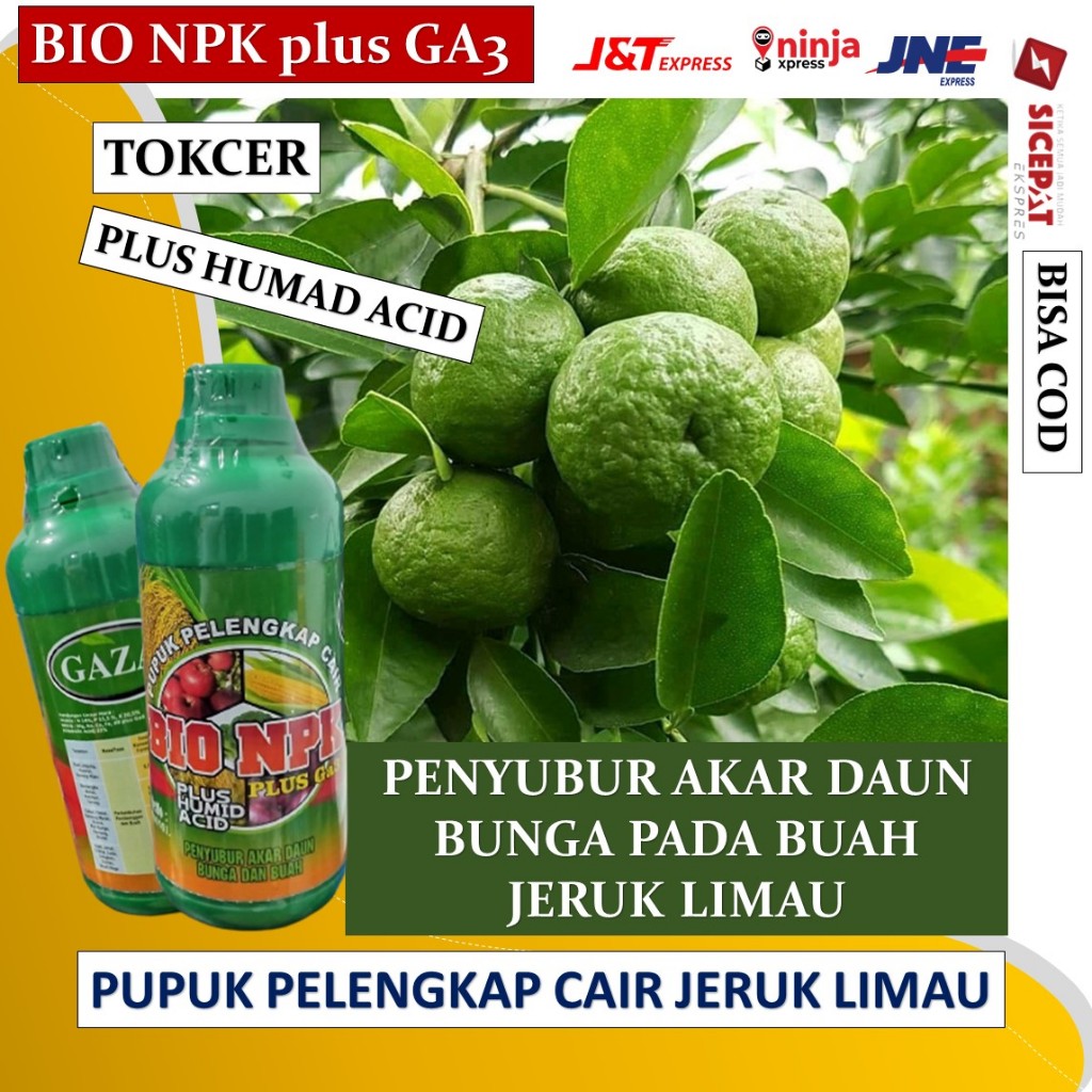 BIO GAZA Pupuk Booster Jeruk Organik Agar Cepat Berbuah Lebat Khusus Pembuahan Buah Saat Sedang Berb