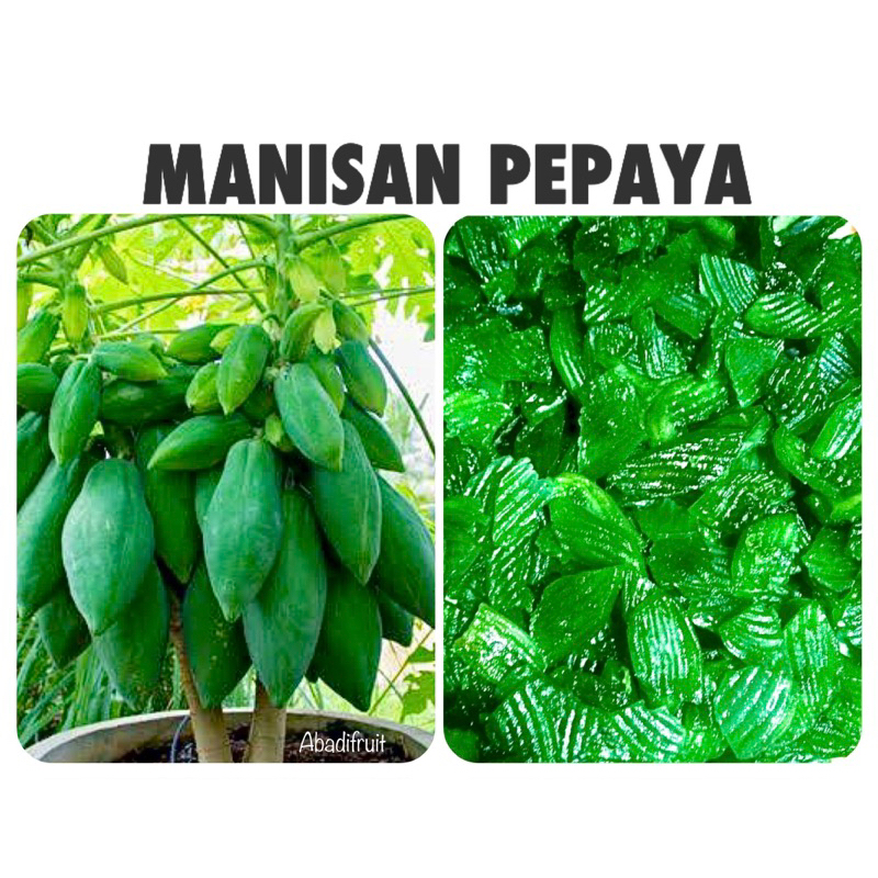 

500gr manisan pepaya