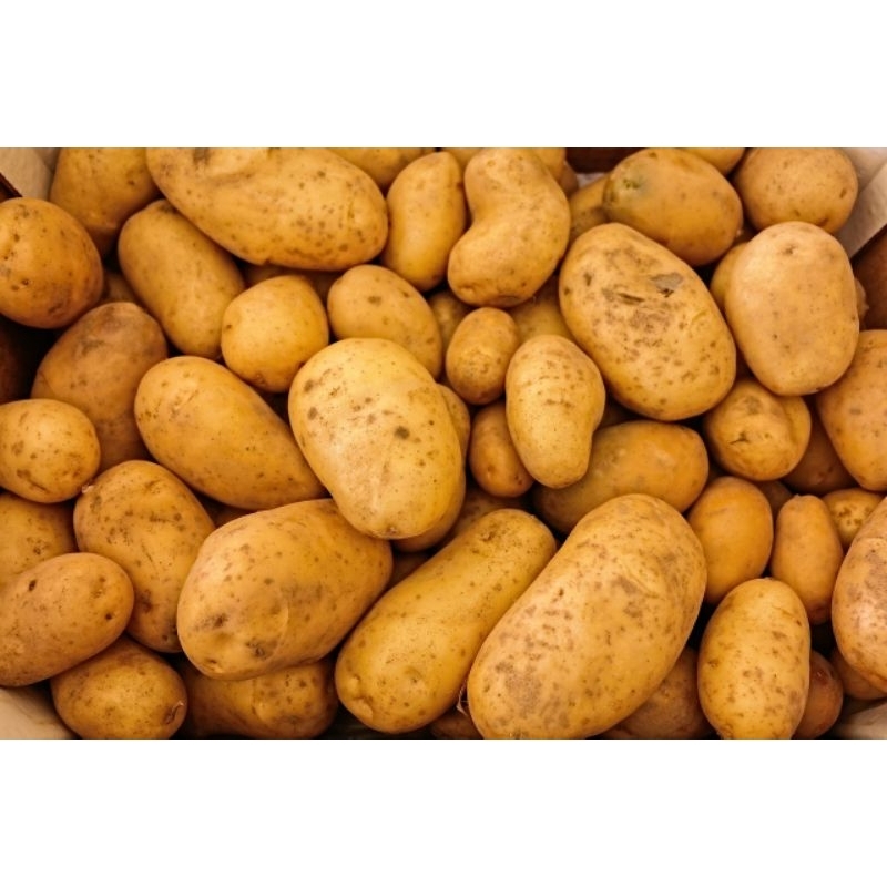 

Kentang 250 gram