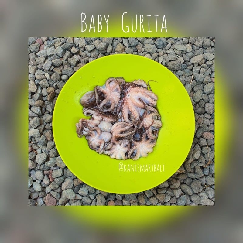 

Baby gurita fresh frozen / octopus