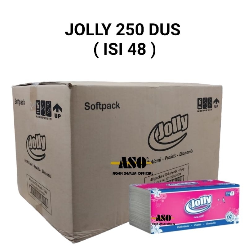 DUS Tisu Tissue Jolly 250 Sheet DUS ( ISI 48 )