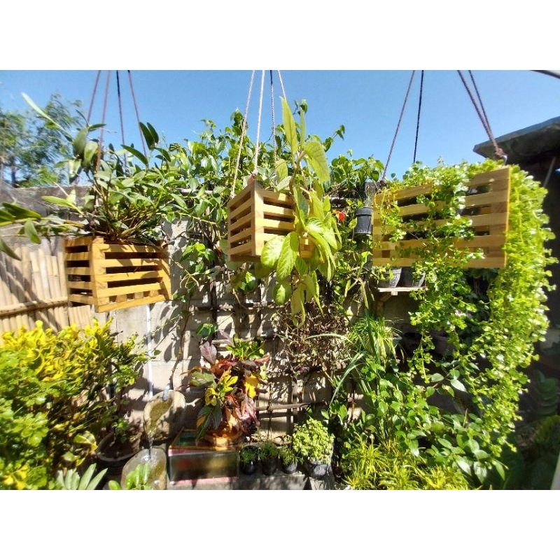 pot kayu gantung pot gantung pot anggrek