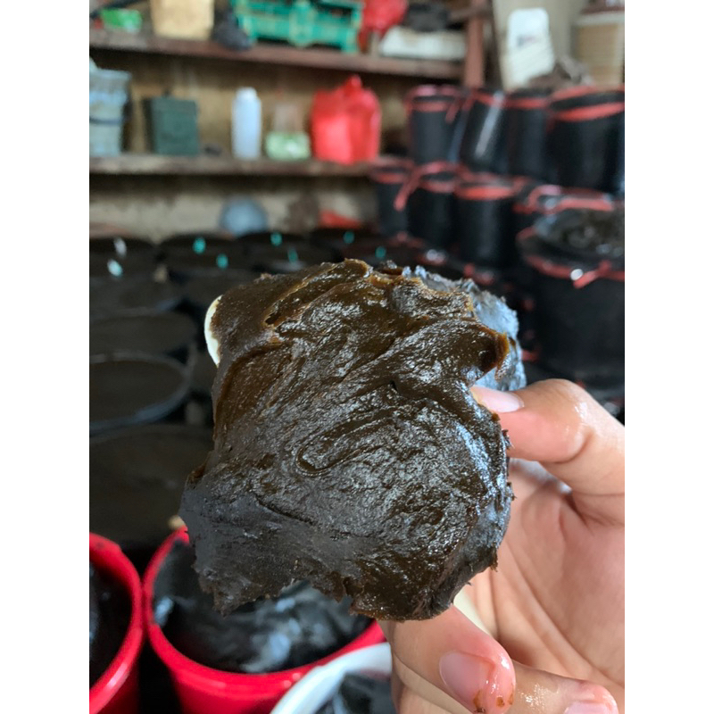 

petis tambar bawang putih kemasan 5kg by petis mada gresik