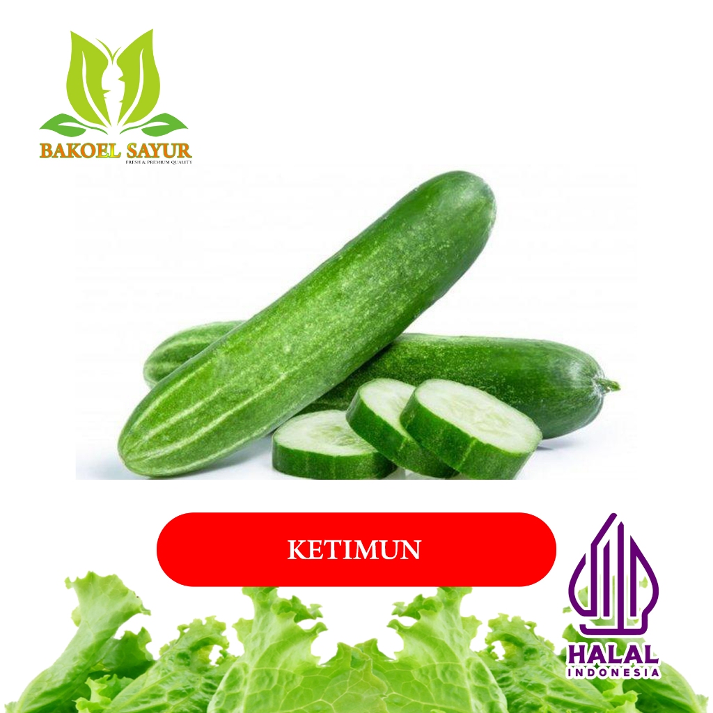 

KETIMUN SEGAR / TIMUN SEGAR 500 gr
