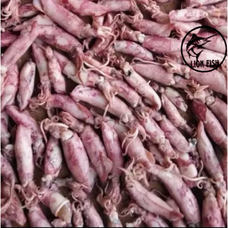 

cumi kering asin sotong kering fresh:20kg