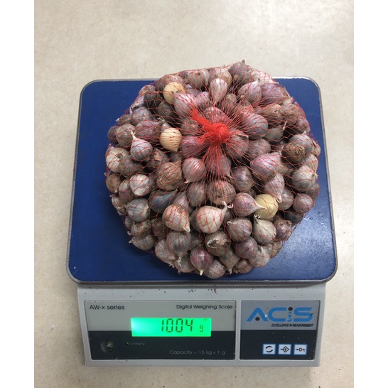 

➫➻❀✺ Bawang Putih Tunggal Lanang SEDANG 1.5-2 CM 1 KG Big Sale