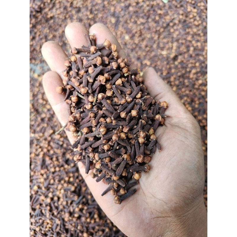 

Cengkeh harga untuk 1 kg