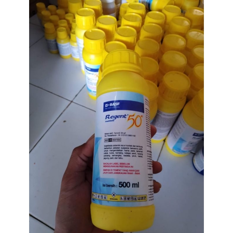 REGENT 500ML