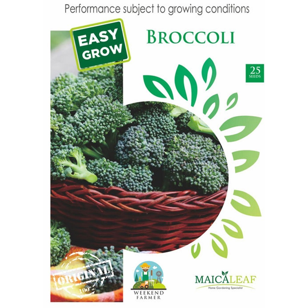 

Brokolli Hijau Maica Leaf 25 Seeds Easy Grow - Star Farm