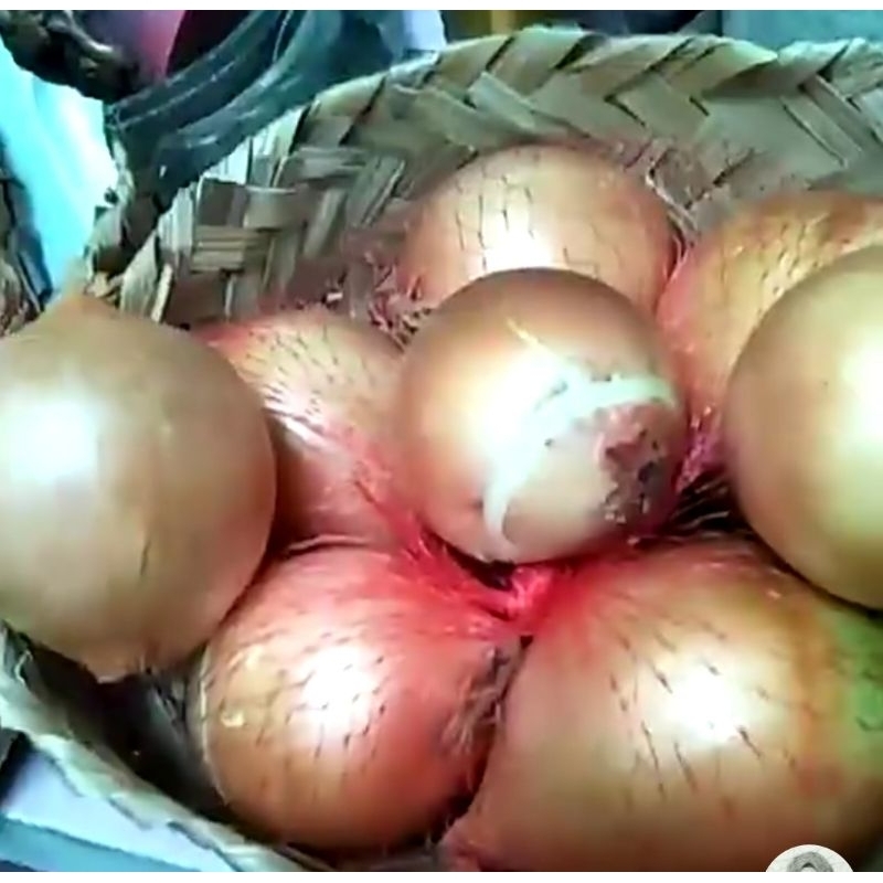 

bawang Bombay 250g