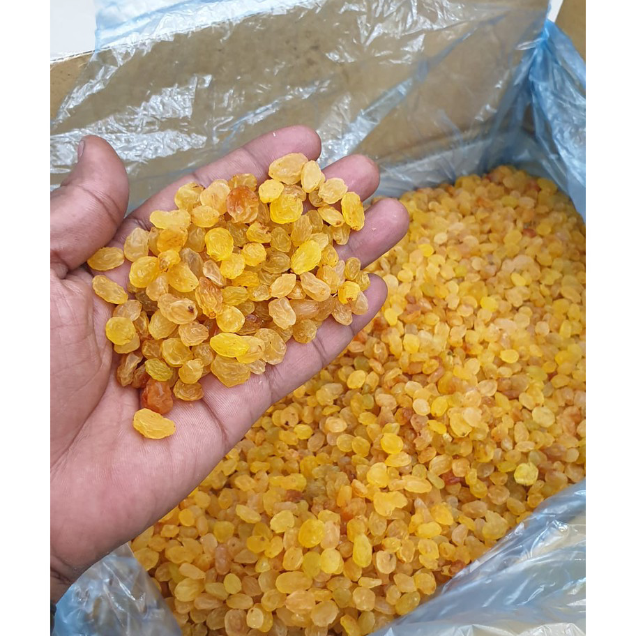 

Terlaku. kismis manis simin 1kg /kismis kristal/ kismismanis( EXP 2025) Terkini