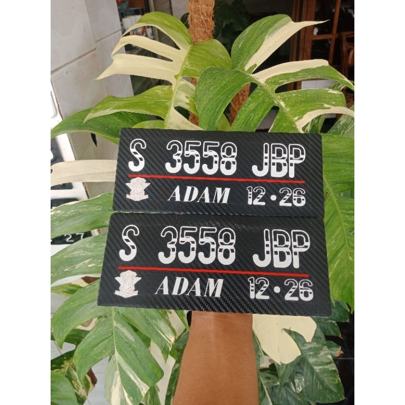 Plat Nomor Variasi Plat Nomor Carbon