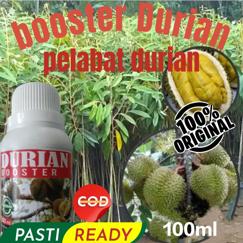 Booster durian pupuk booster untuk durian Booster durian montong pupuk booster buah durian pupuk boo