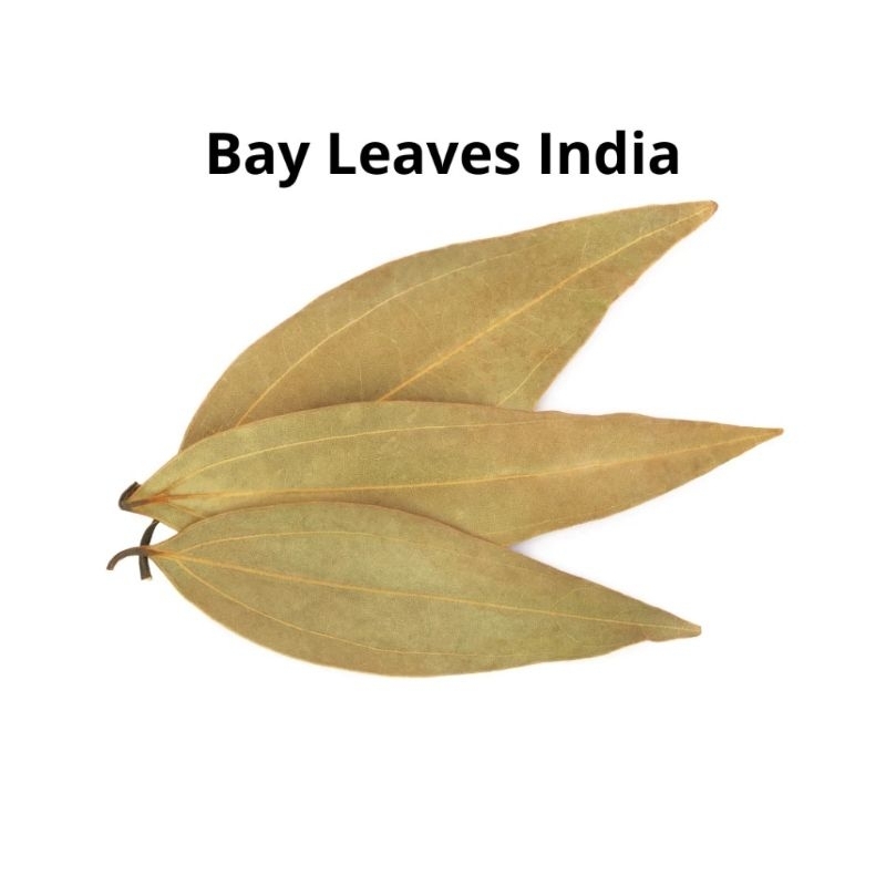 

Daun Salam India Bay Leaves Jumbo Panjang Salam Koja Harum 250gram