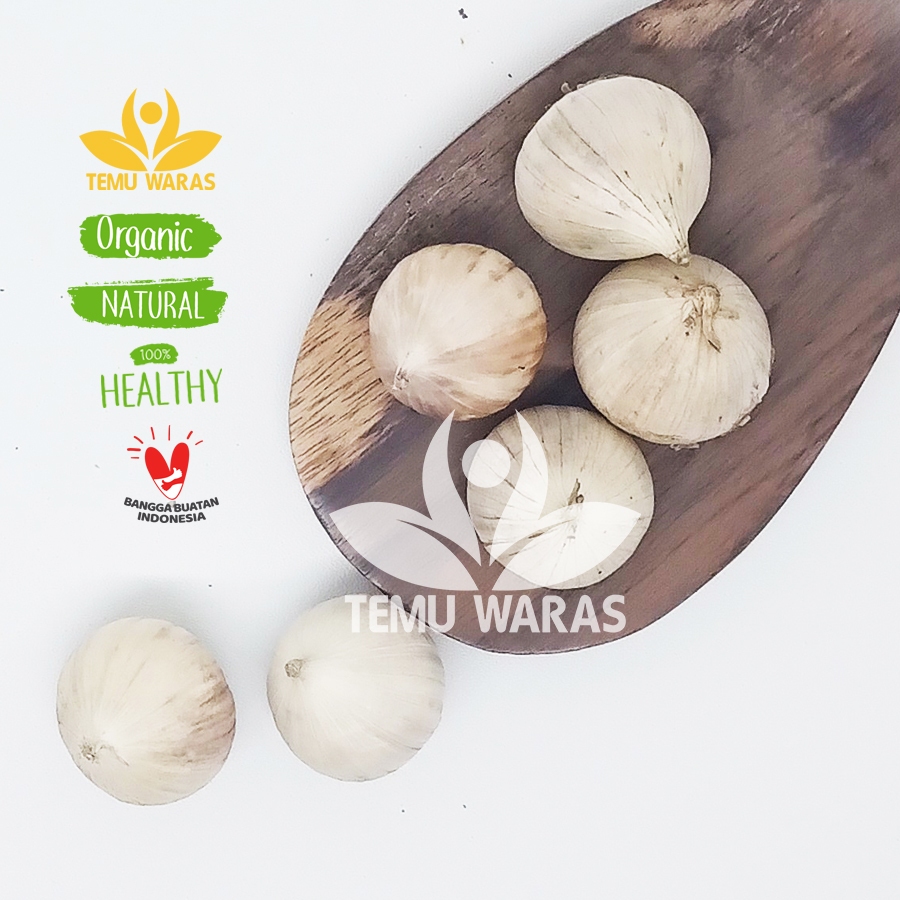 

Bawang Tunggal 1kg atau Bawang Lanang Besar Organik Grade A