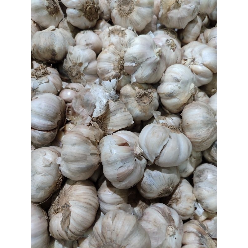 

BAWANG PUTIH 100gr