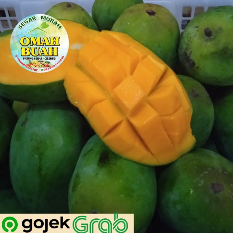 

RSYP8147 Mangga Harum Manis 900 gram - 1 Kg